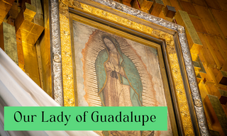 Our Lady of Guadalupe